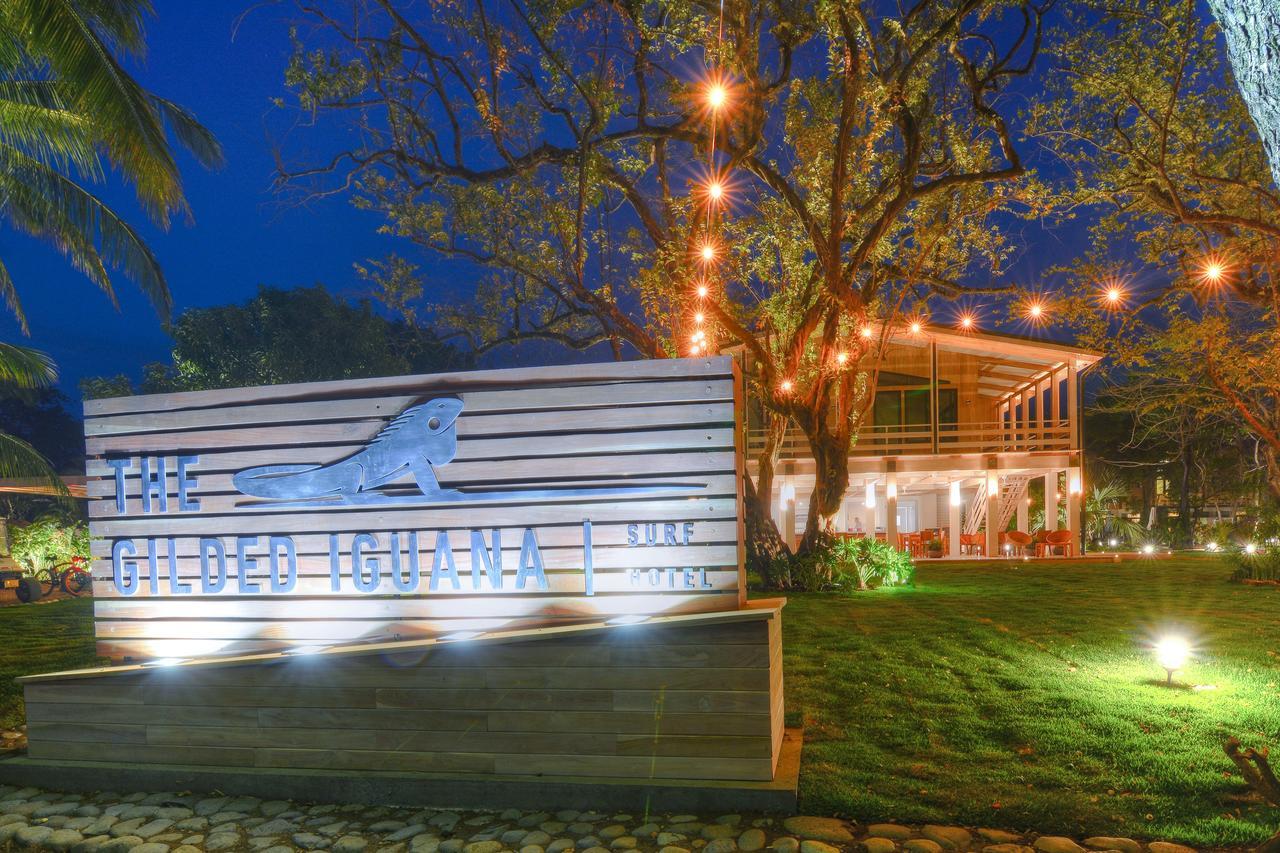 The Gilded Iguana Hotel Nosara Eksteriør billede